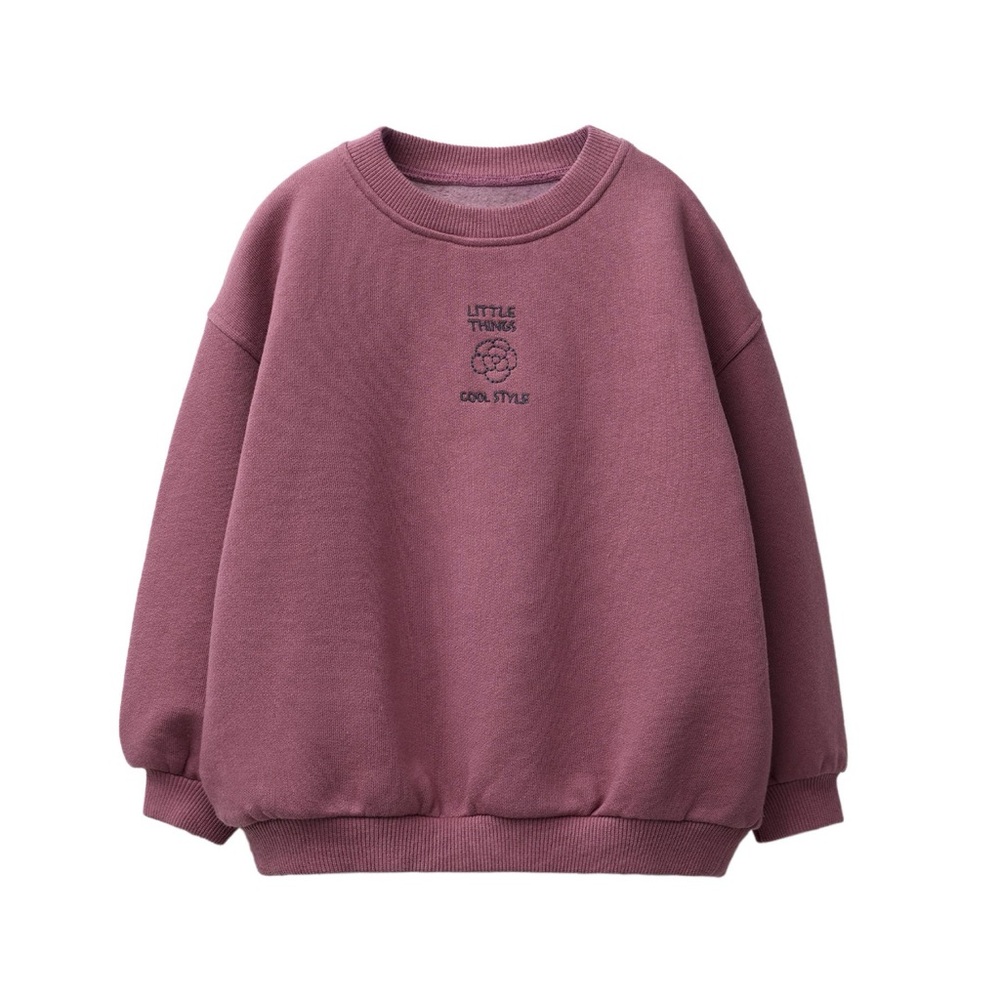 Zara Kids Sweatshirt